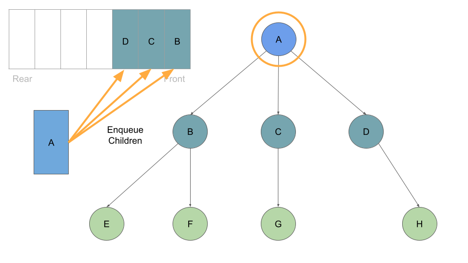 K-ary Tree Breadth First Traversal 03